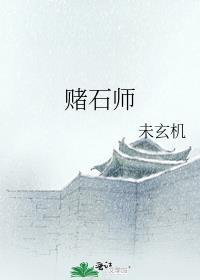 赌石师未玄机